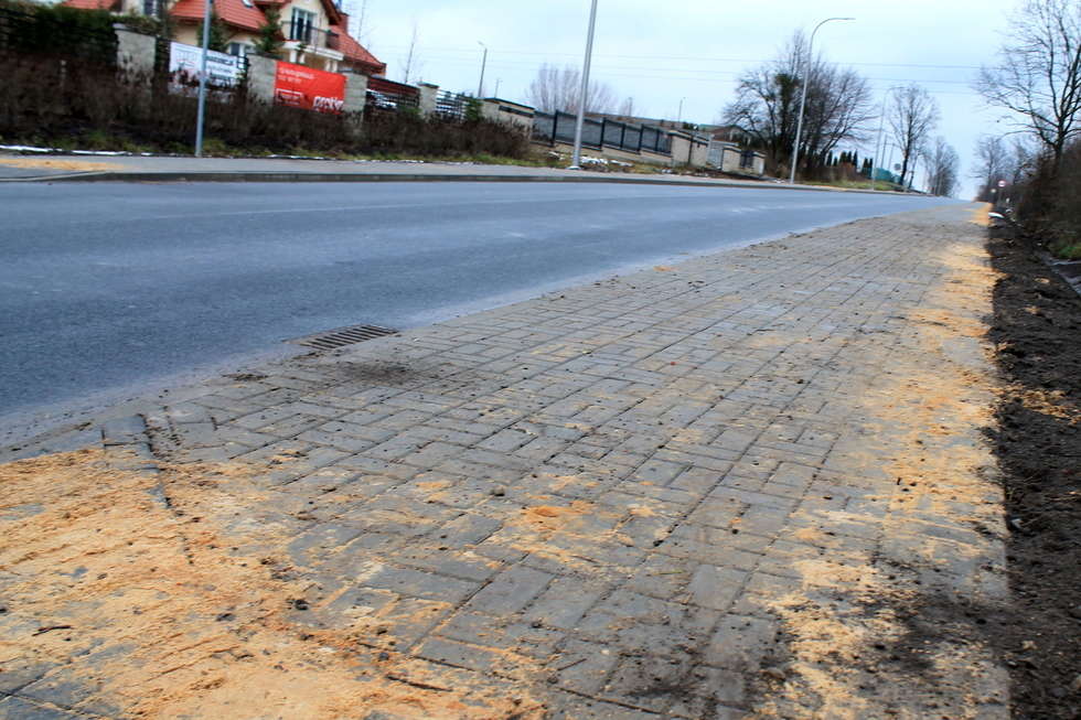  Droga z Końskowoli do Sielc (zdjęcie 3) - Autor: Radosław Szczęch