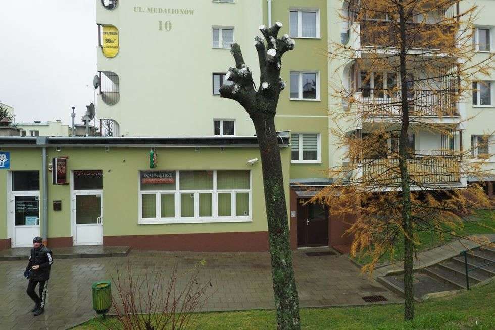  Przycinka drzew przy ul. Medalionów (zdjęcie 3) - Autor: Maciej Kaczanowski