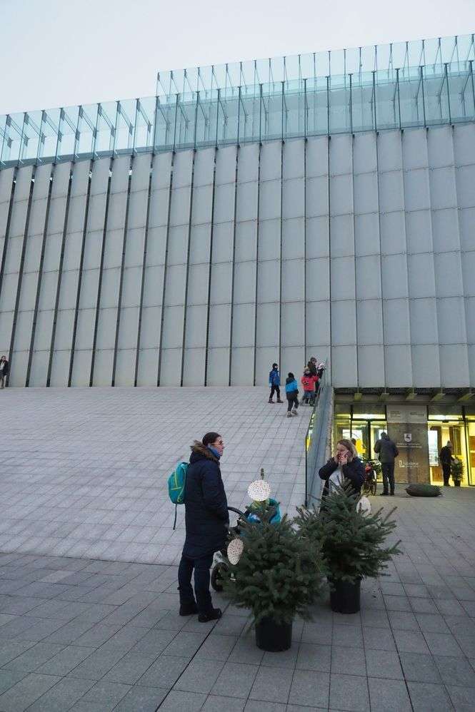 Bezpłatne choinki dla mieszkańców od marszałka