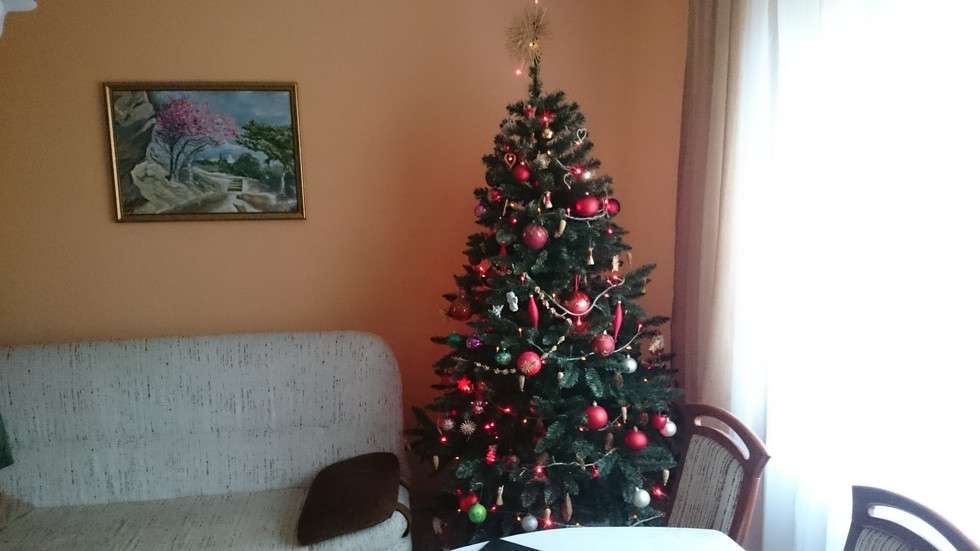  Wasze choinki i ozdoby świąteczne (zdjęcie 22) - Autor: Choinka Danuty i Wiesława