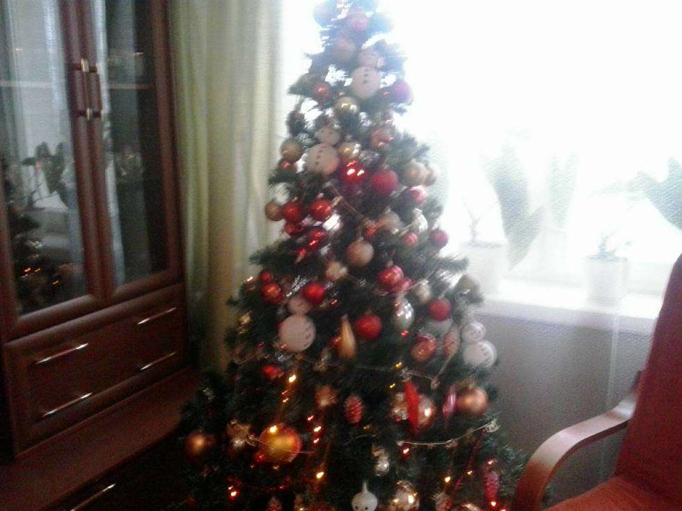 Wasze choinki i ozdoby świąteczne (zdjęcie 23) - Autor: Choinka pani Danuty