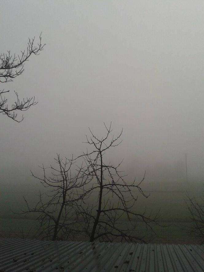 Mgła w Lublinie i regionie. Zdjęcia czytelników