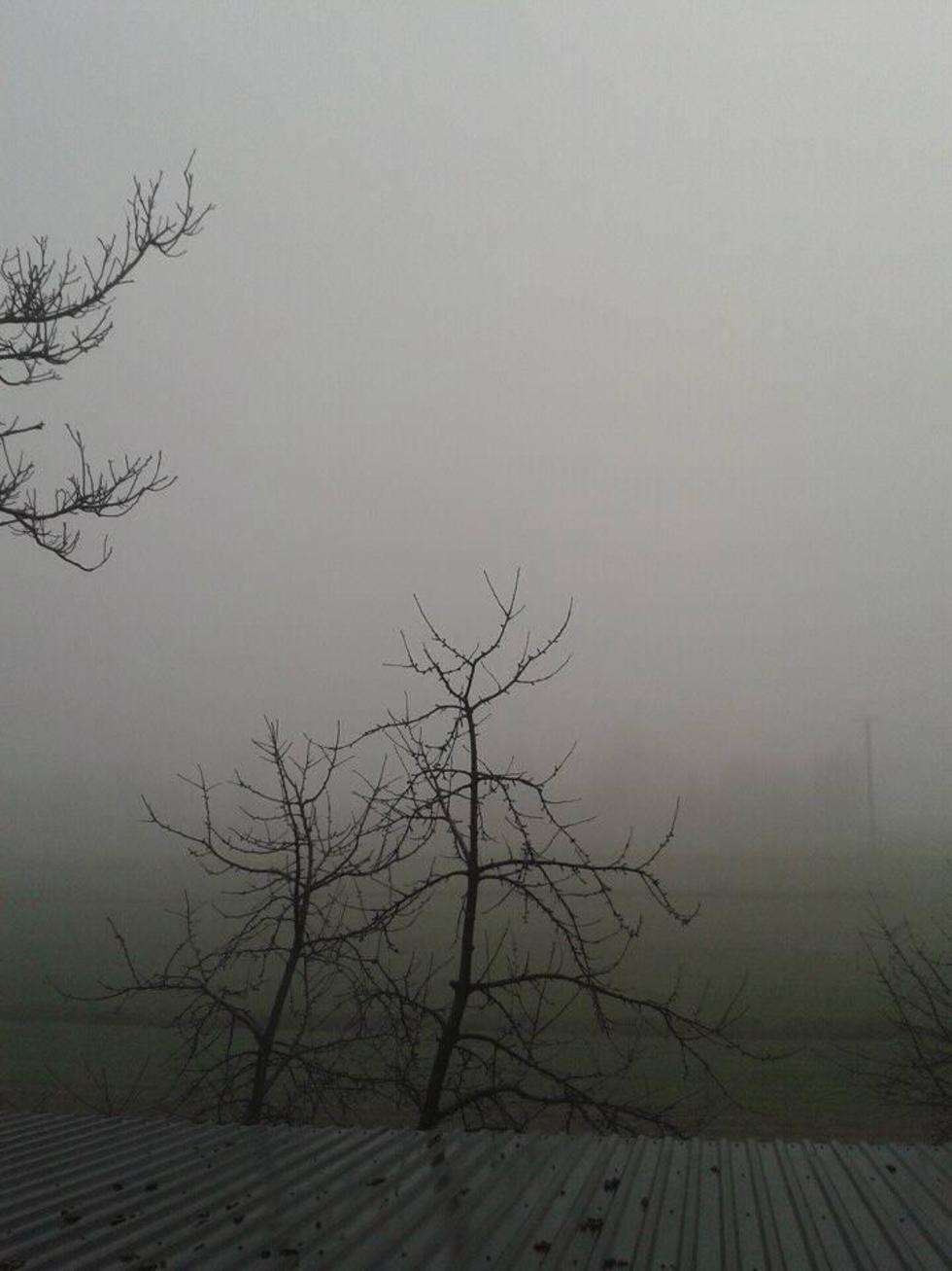  Mgła w Lublinie i regionie. Zdjęcia czytelników (zdjęcie 7) - Autor: Kamil