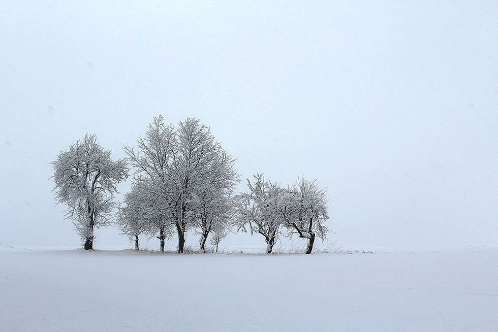  <p>Wyr&oacute;żnienie. Paweł Bujara, Susiec - Zagubione w śniegu, zimowy krajobraz z Roztocza</p>