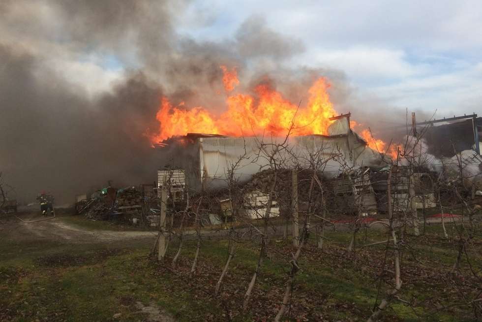  Pożar przetwórni owoców w Kolonii Dobryń (zdjęcie 1) - Autor: OSP Chotyłów