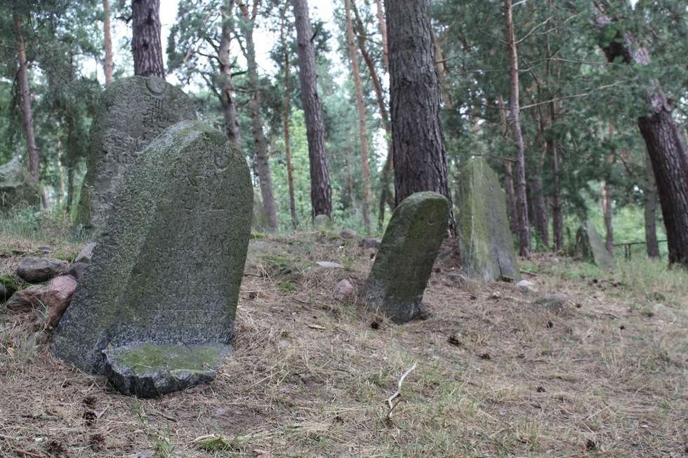  Cmentarz tatarski w Studziance  - Autor: Jan Rosiak / Fundacja Dziedzictwa Kulturowego