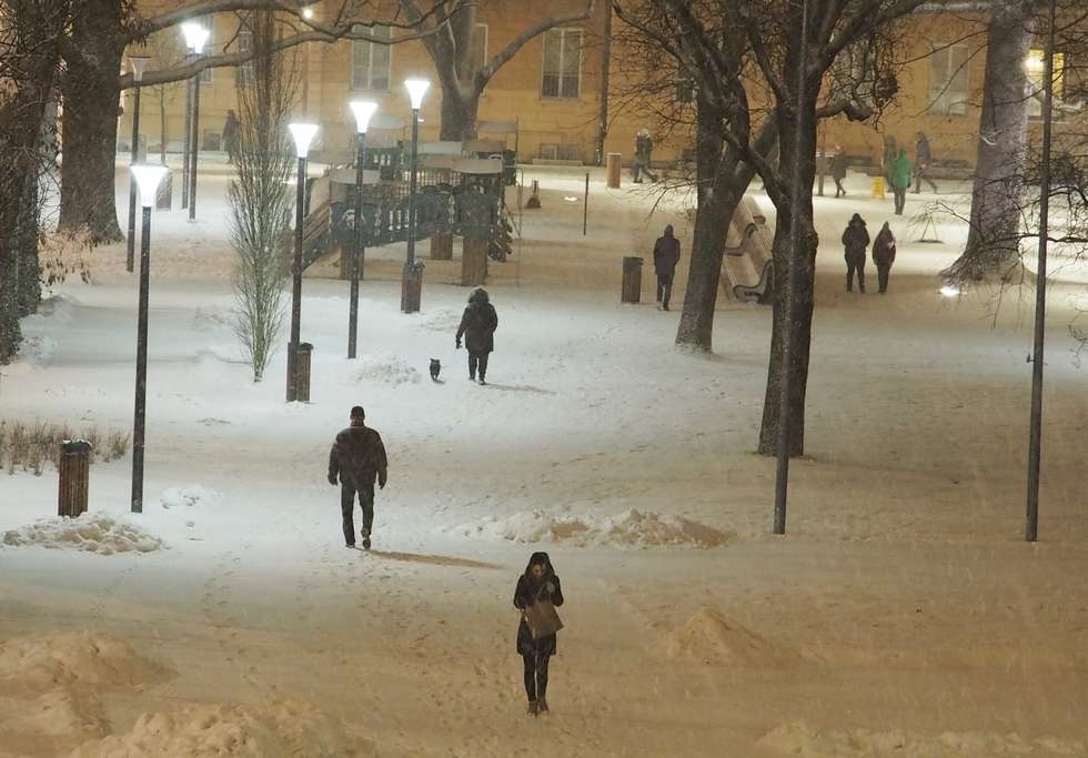  Zima w Lublinie (zdjęcie 1) - Autor: ŁM