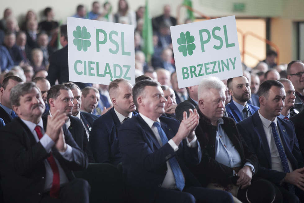  Konwencja programowa PSL w Kraśniku (zdjęcie 9) - Autor: Jacek Szydłowski