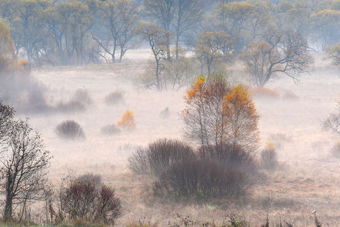 Nazwa Piękno przyrody w obiektywie lubelskich fotografów