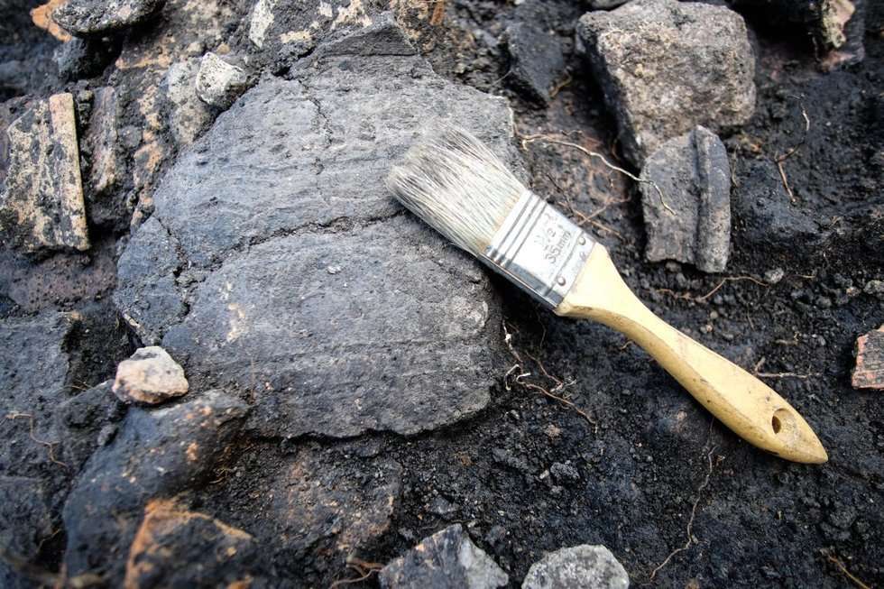 Nasiona sprzed wieków w spalonym spichlerzu (zdjęcie 24) - Autor: Łukasz Miechowicz
