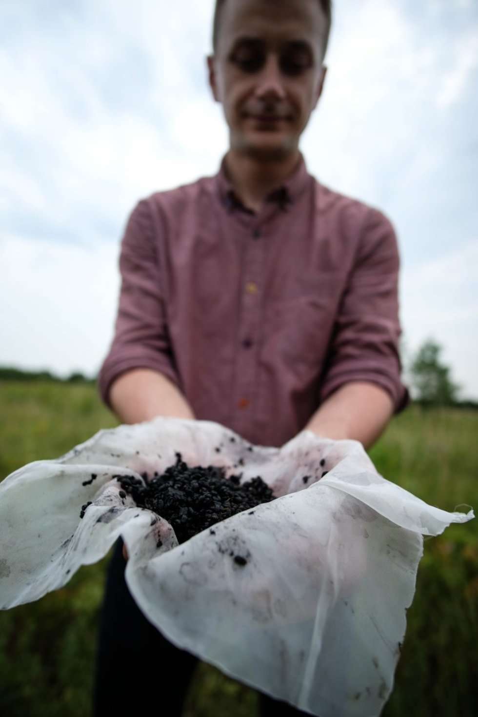 Nasiona sprzed wieków w spalonym spichlerzu (zdjęcie 34) - Autor: Łukasz Miechowicz