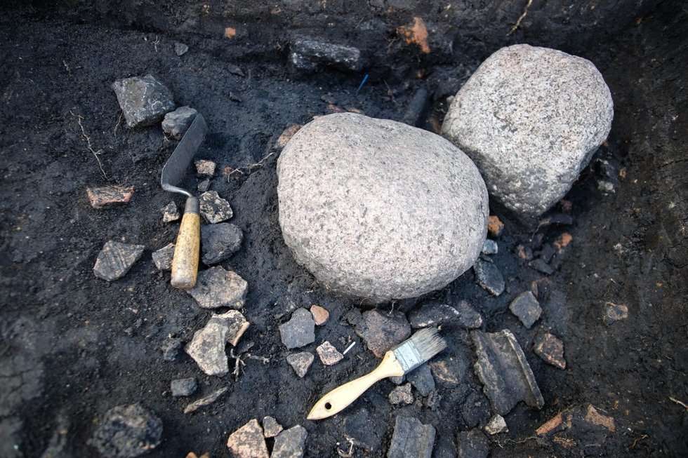 Nasiona sprzed wieków w spalonym spichlerzu (zdjęcie 22) - Autor: Łukasz Miechowicz