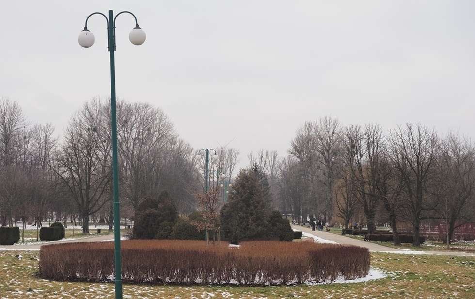  Park Ludowy (zdjęcie 13) - Autor: Wojciech Nieśpiałowski