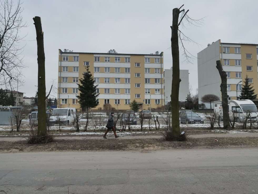  Wycinka drzew na ul. Wyścigowej (zdjęcie 12) - Autor: Maciej Kaczanowski