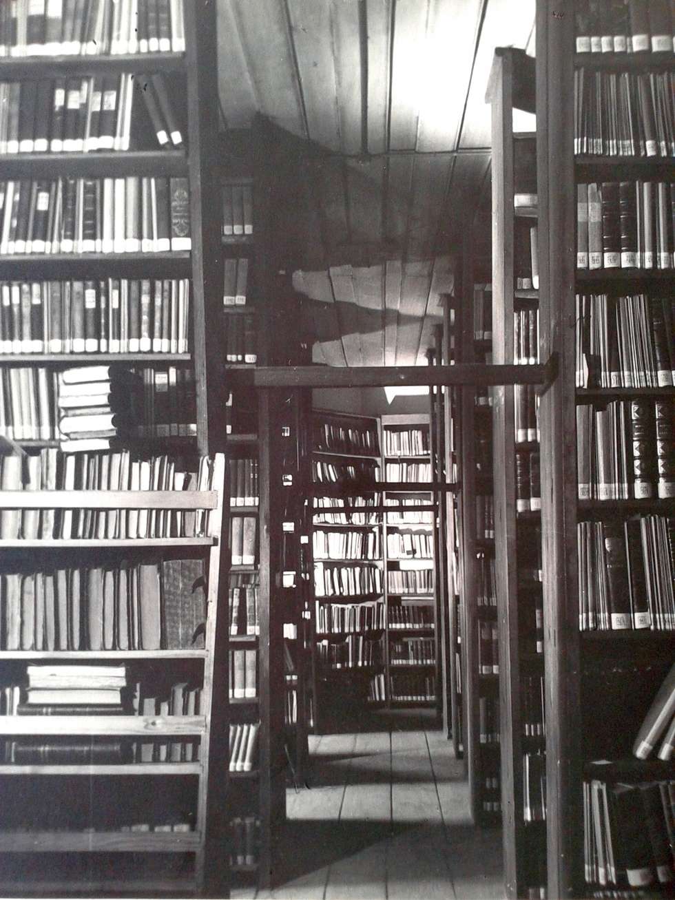  Milioner, rektor, jego bibliotekarka i jej życie (zdjęcie 3) - Autor: Zbiory BU KUL