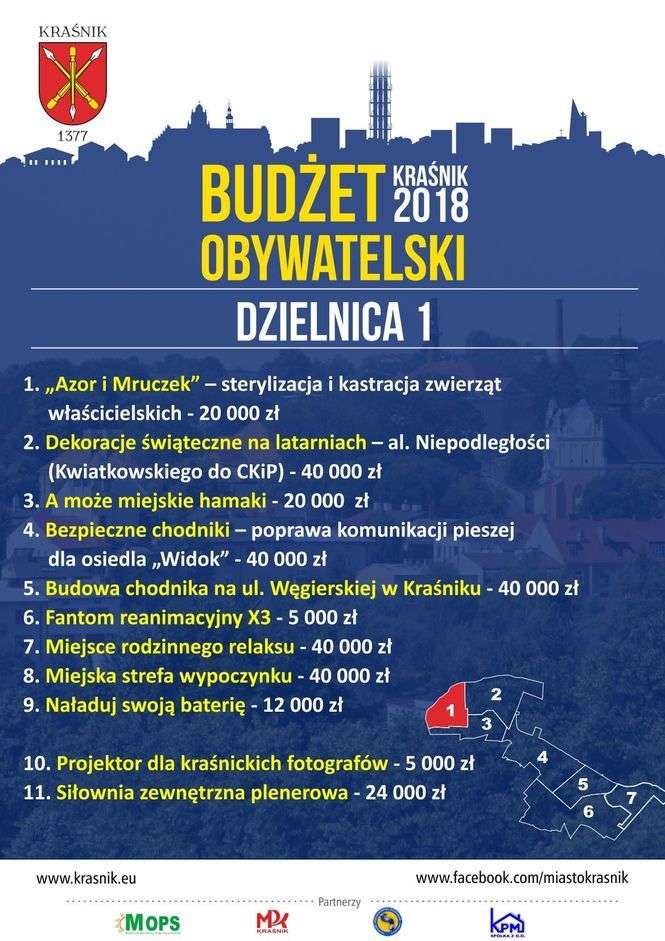 Budżet obywatelski 2018 w Kraśniku - projekty zakwalifikowane do głosowania