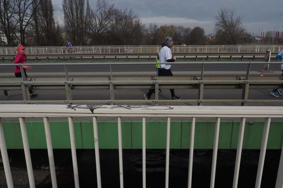  #biegnijlublin: Mila na start (zdjęcie 104) - Autor: Wojciech Nieśpiałowski