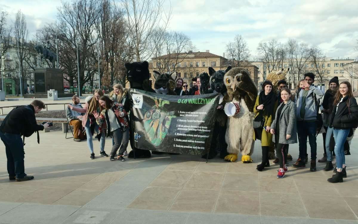 WWF Polska w obronie Puszczy Karpackiej