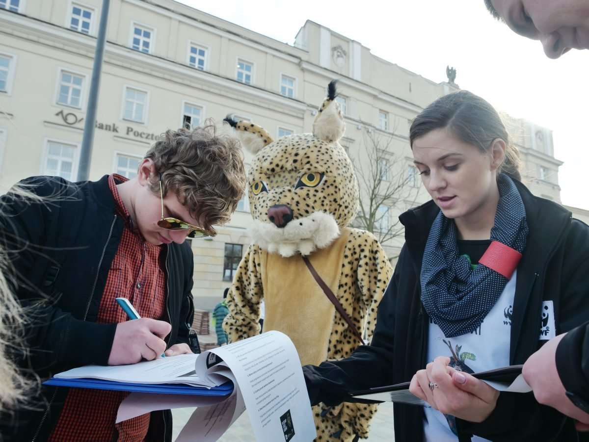 WWF Polska w obronie Puszczy Karpackiej - Autor: Maciej Kaczanowski
