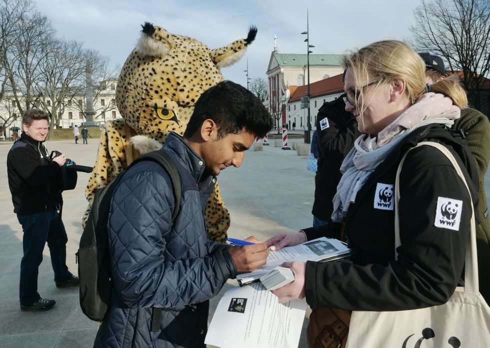  WWF Polska w obronie Puszczy Karpackiej (zdjęcie 9) - Autor: Maciej Kaczanowski