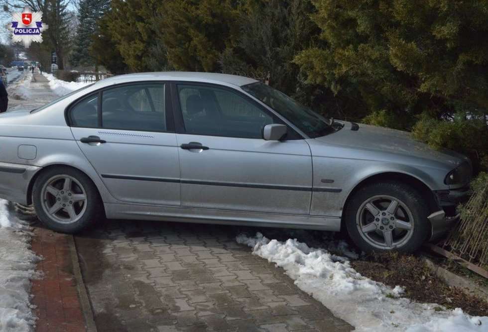  Zwierzyniec: Kierowca BMW wypadł z drogi (zdjęcie 1) - Autor: Policja