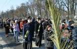 Niedziela Palmowa w Lublinie (zdjęcie 4)