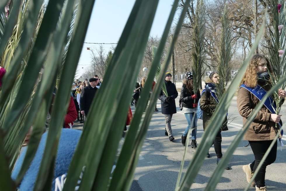  Niedziela Palmowa w Lublinie (zdjęcie 9) - Autor: Maciej Kaczanowski