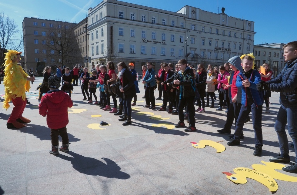  Wyścig kaczek w Lublinie. Akcja promocyjna (zdjęcie 5) - Autor: Wojciech Nieśpiałowski