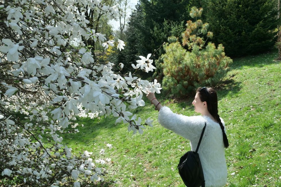  Ogród Botaniczny UMCS już otwarty dla zwiedzających (zdjęcie 27) - Autor: Maciej Kaczanowski