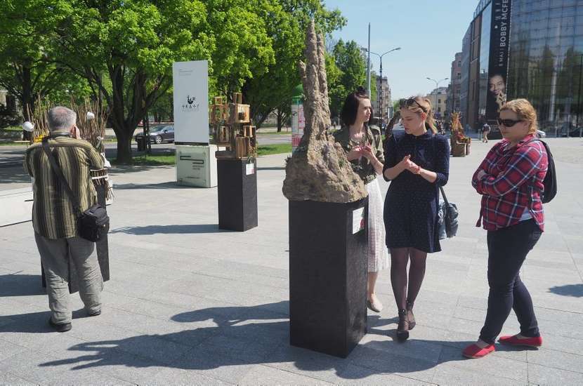  Weekend z florystyką w Centrum Spotkania Kultur (zdjęcie 1) - Autor: Wojciech Nieśpiałowski