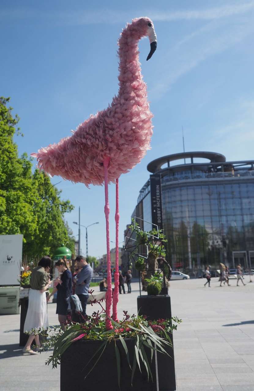  Weekend z florystyką w Centrum Spotkania Kultur (zdjęcie 1) - Autor: Wojciech Nieśpiałowski