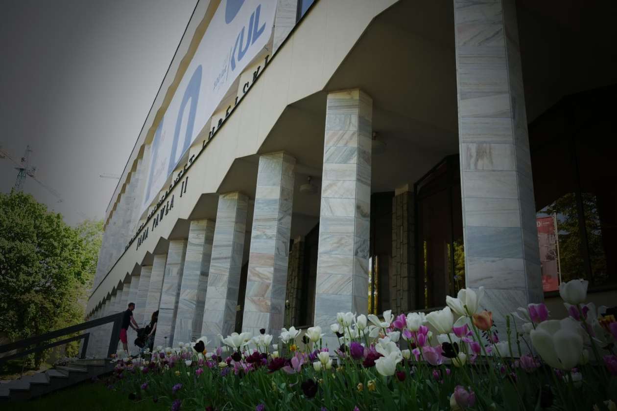  6000 tulipanów zakwitło przed budynkiem KUL (zdjęcie 13) - Autor: Maciej Kaczanowski