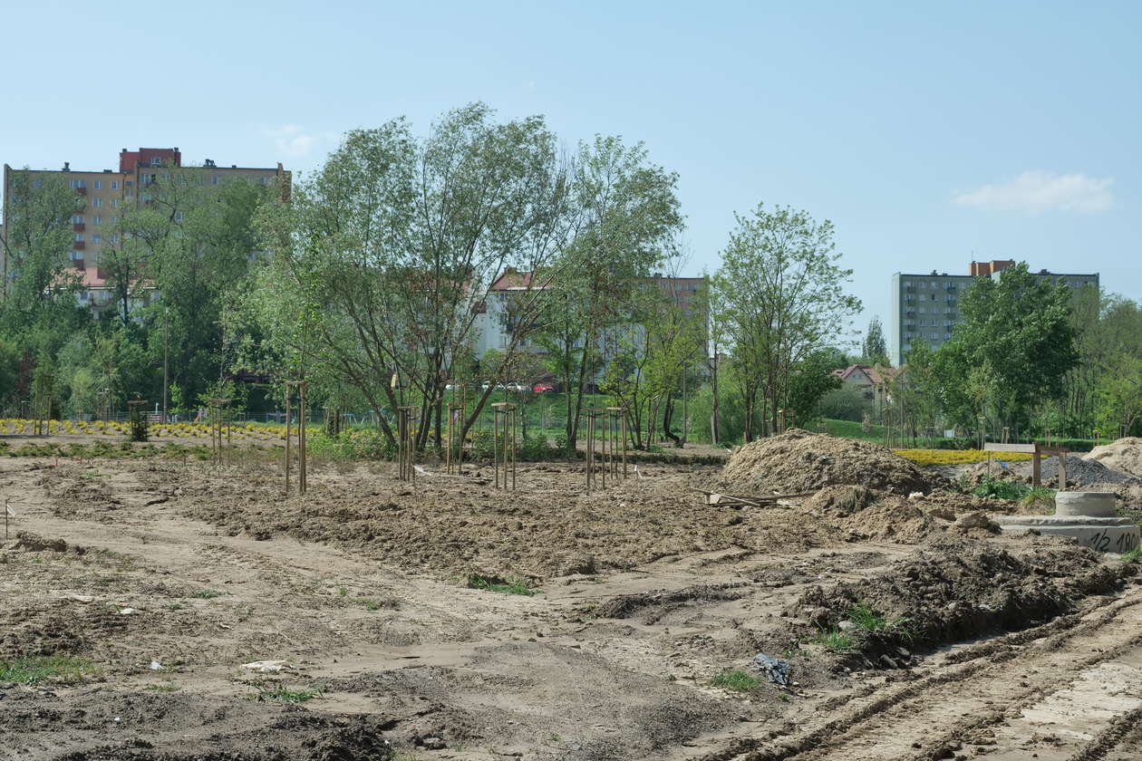  Nowy park przy ul. Zawilcowej w Lublinie  - Autor: Maciej Kaczanowski