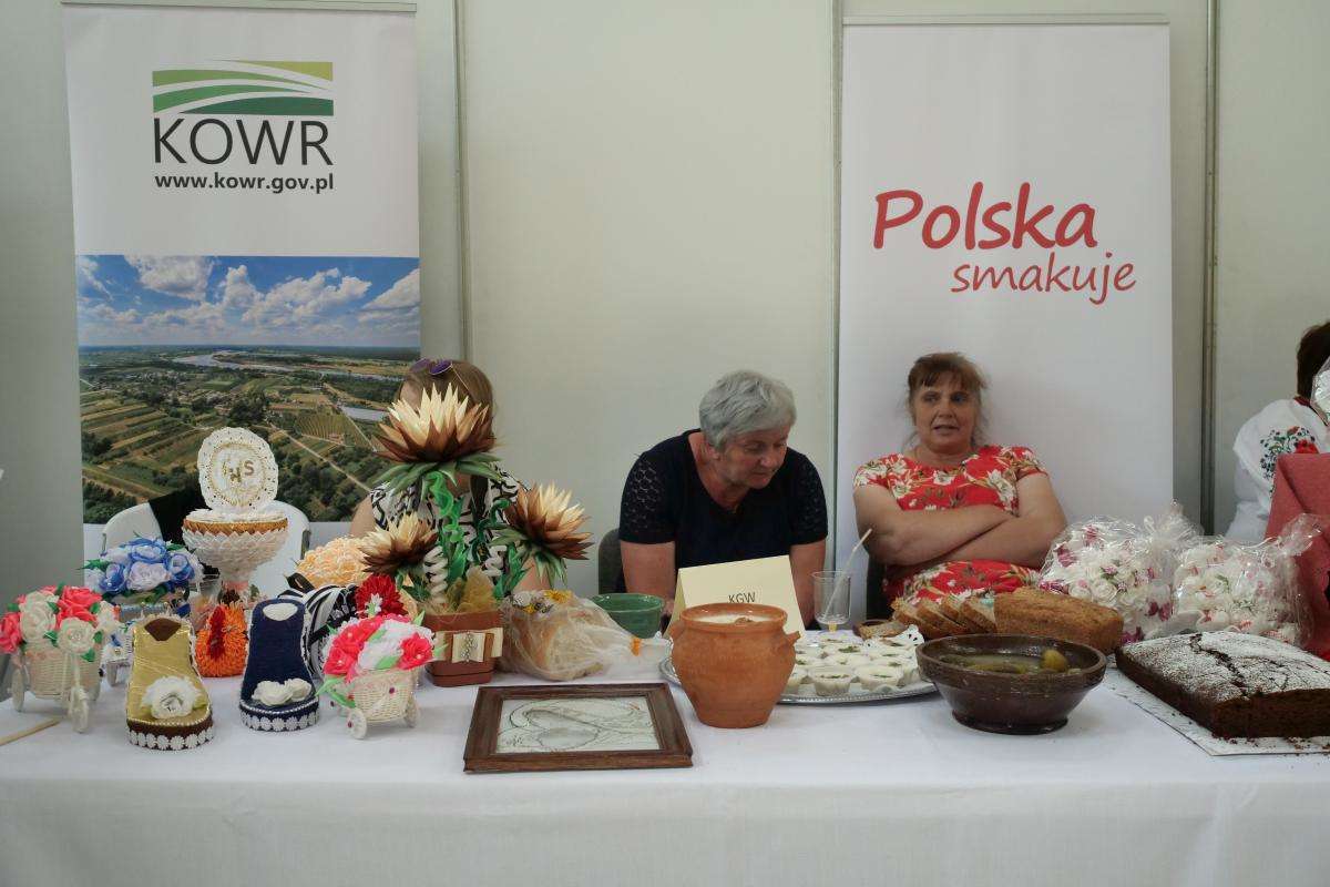 Lubelska Majówka - Festiwal Aktywności Lokalnej w Targach Lublin - Autor: Maciej Kaczanowski