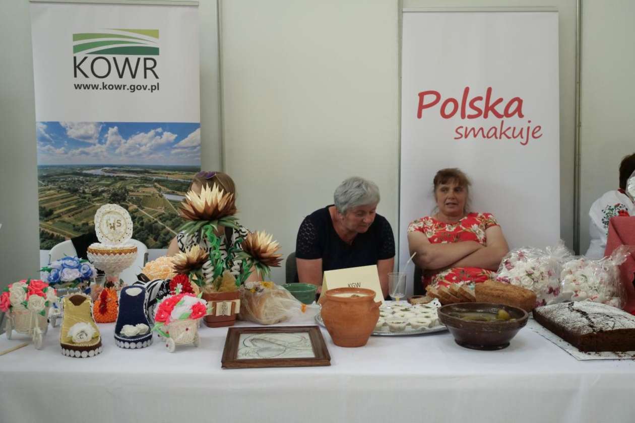  Lubelska Majówka - Festiwal Aktywności Lokalnej w Targach Lublin (zdjęcie 1) - Autor: Maciej Kaczanowski