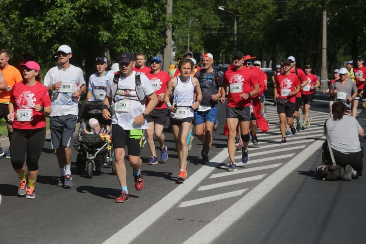  6. Maraton Lubelski i 3. Bieg Koziołka w Lublinie (zdjęcie 8) - Autor: Wojciech Nieśpiałowski