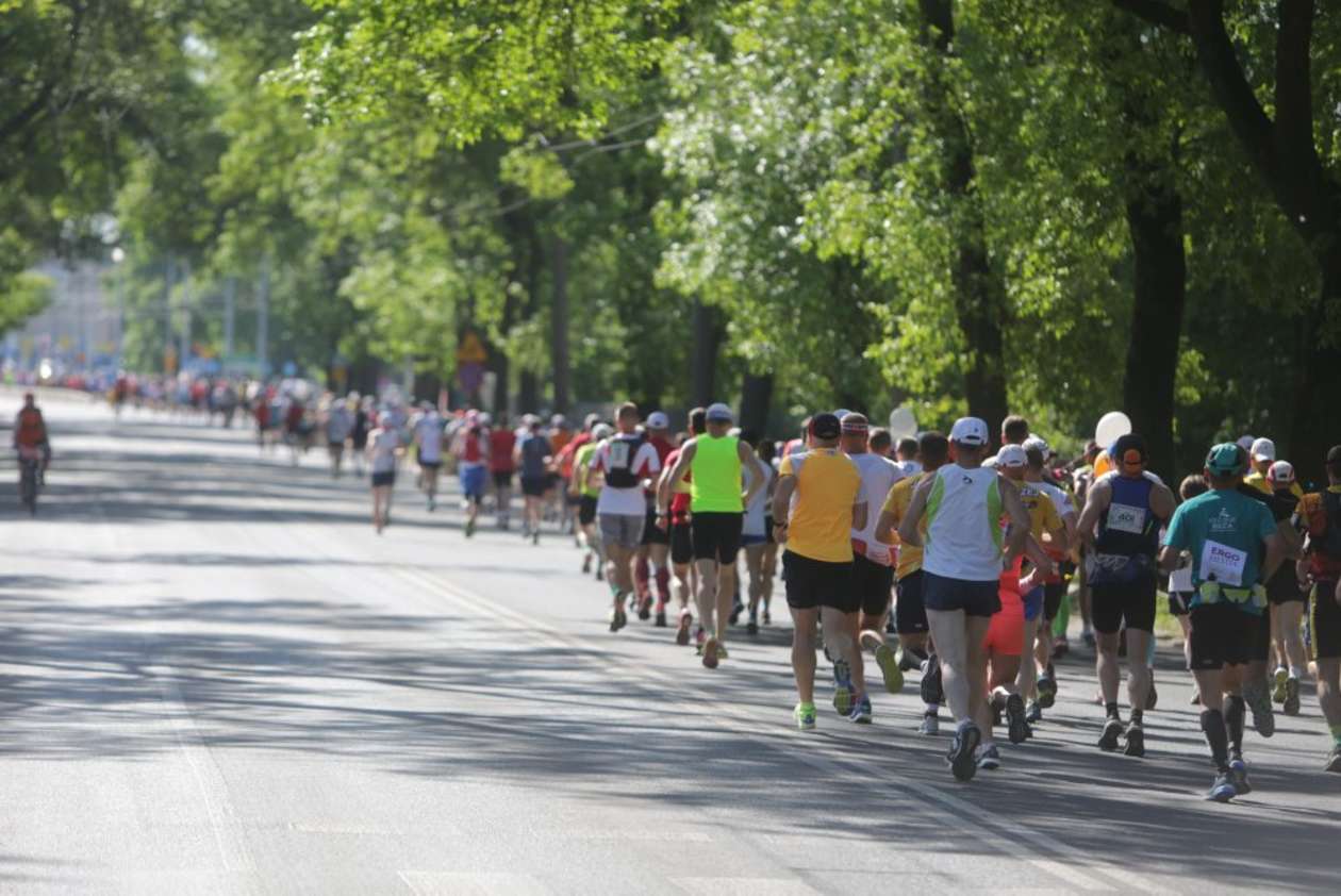  6. Maraton Lubelski i 3. Bieg Koziołka w Lublinie (zdjęcie 43) - Autor: Wojciech Nieśpiałowski