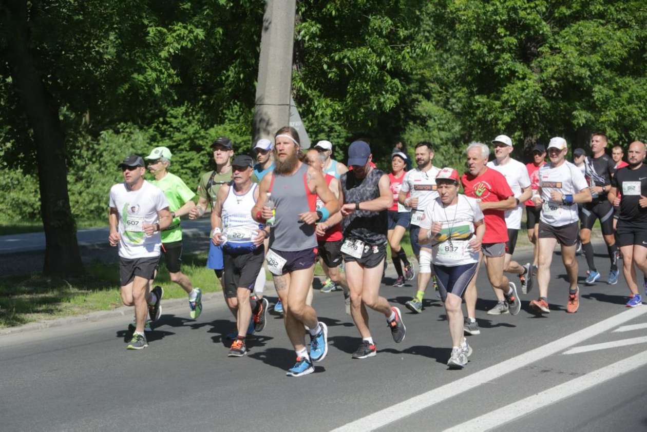 6. Maraton Lubelski i 3. Bieg Koziołka w Lublinie (zdjęcie 36) - Autor: Wojciech Nieśpiałowski