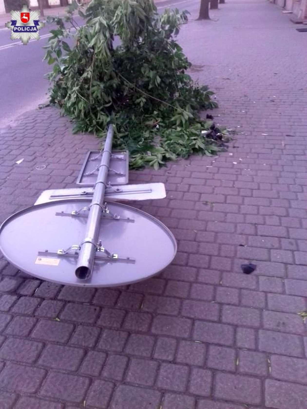  Wypadek w Lubartowie. Kierowca zasnął w trakcie jazdy  - Autor: Policja