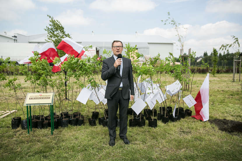  Dębowa Aleja w Zamościu na 100. rocznicę odzyskania niepodległości (zdjęcie 1) - Autor: Kazimierz Chmiel