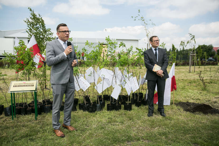  Dębowa Aleja w Zamościu na 100. rocznicę odzyskania niepodległości (zdjęcie 1) - Autor: Kazimierz Chmiel