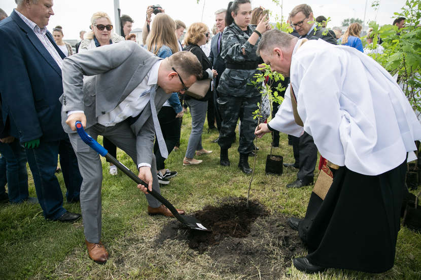 Dębowa Aleja w Zamościu na 100. rocznicę odzyskania niepodległości