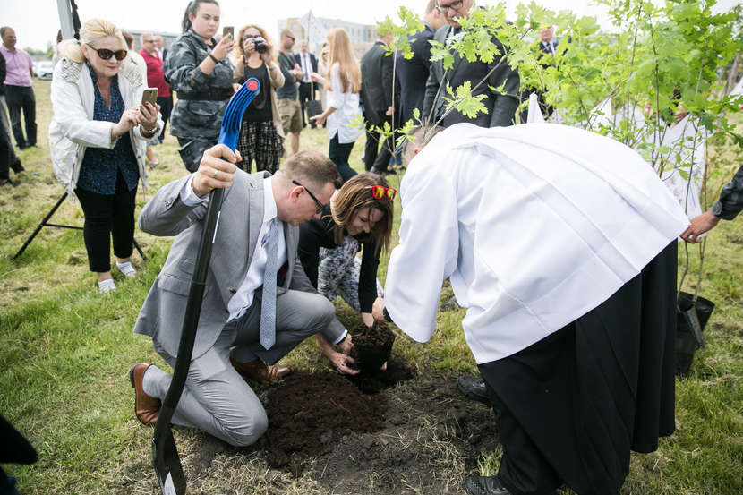  Dębowa Aleja w Zamościu na 100. rocznicę odzyskania niepodległości (zdjęcie 1) - Autor: Kazimierz Chmiel