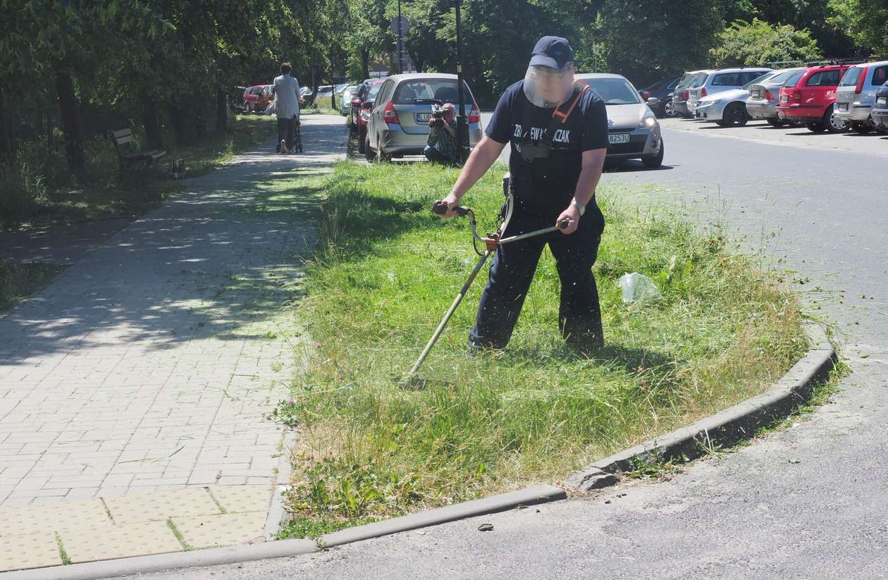  Radny Zbigniew Ławniczak kosił trawę  - Autor: Wojciech Nieśpiałowski