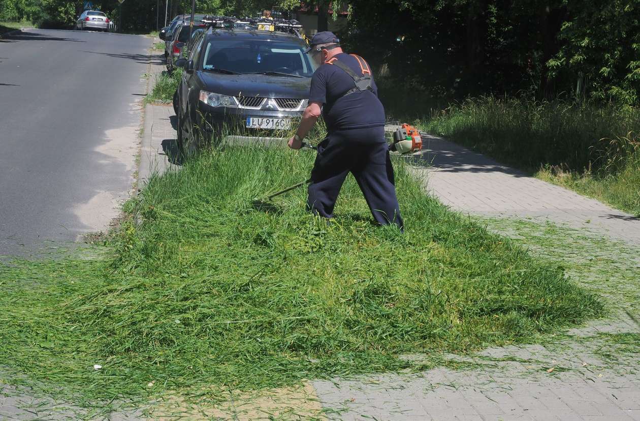  Radny Zbigniew Ławniczak kosił trawę (zdjęcie 2) - Autor: Wojciech Nieśpiałowski