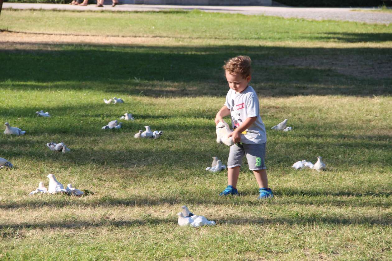 Park Sztuki  w Białej Podlaskiej 