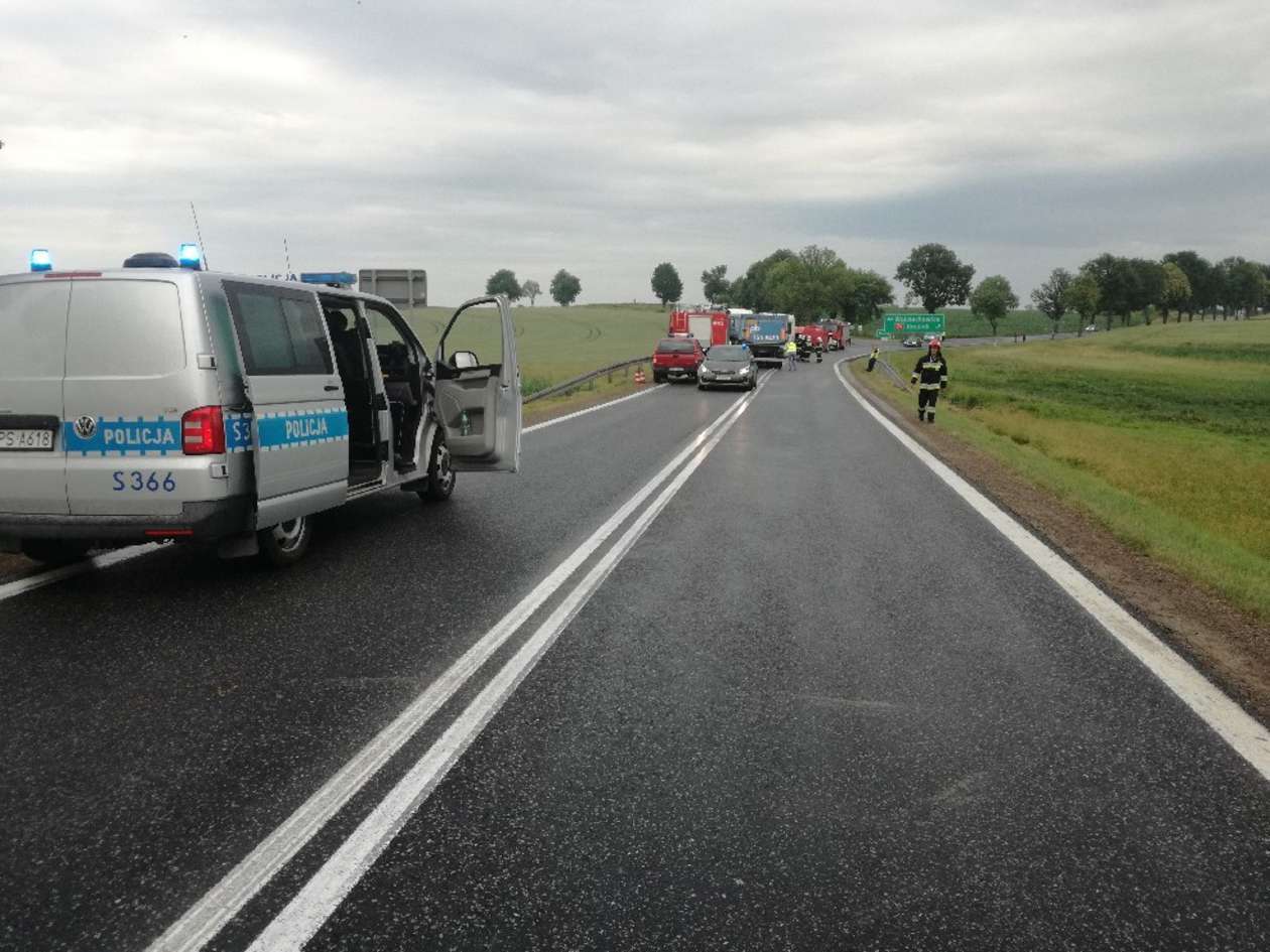  Wypadek autokaru wiozącego dzieci z woj. lubelskiego na wycieczkę szkolną (zdjęcie 6) - Autor: Policja