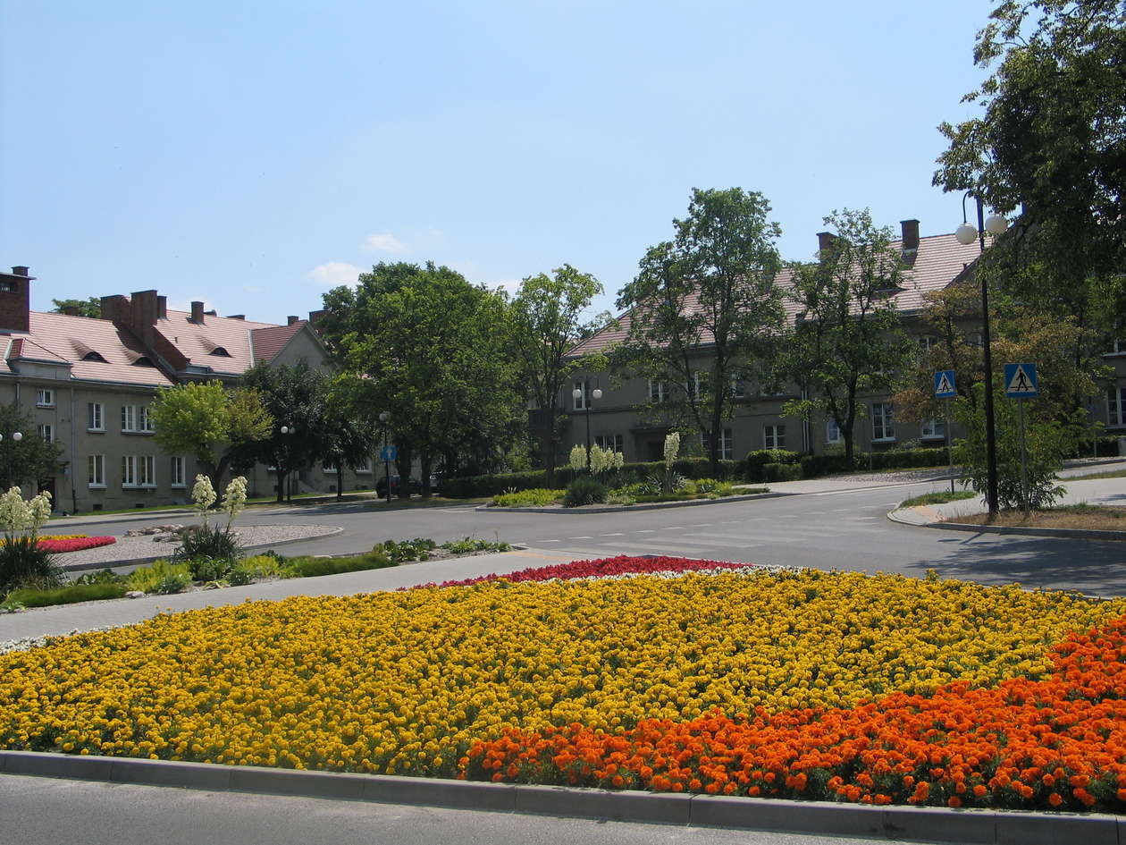  Osiedle Dyrekcja w Chełmie (zdjęcie 1) - Autor: Jacek Barczyński