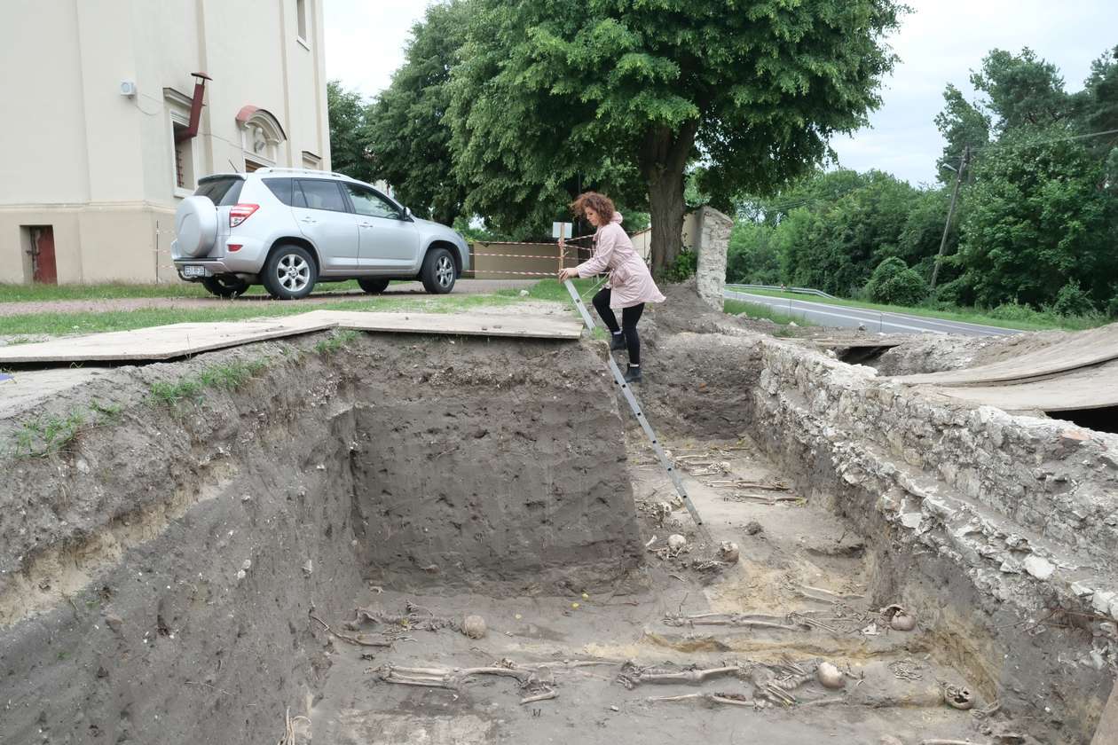 Szczątki Urszuli Kochanowskiej odkryte w Świeciechowie?