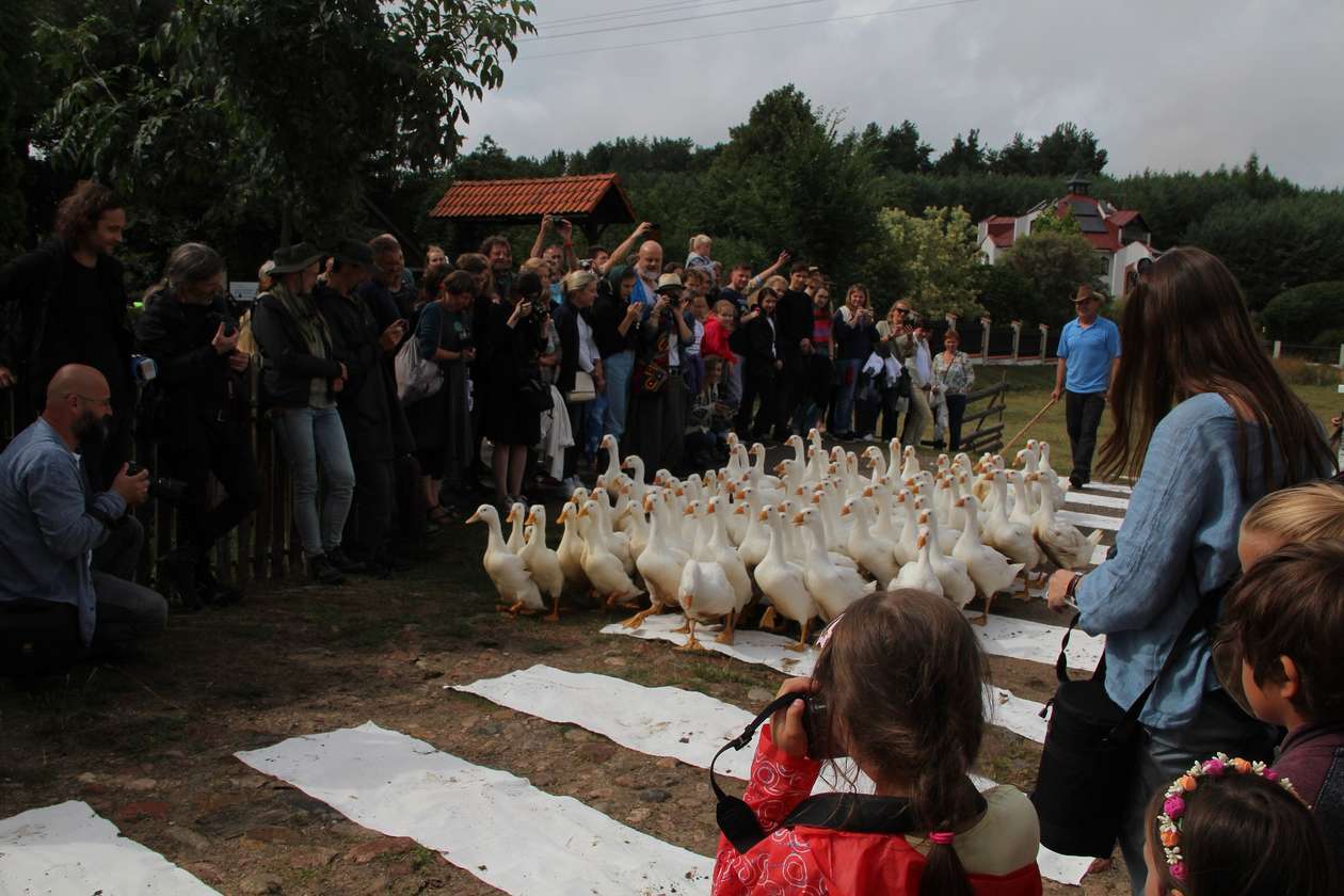  Tegoroczny Landart Festiwal we wsi Bubel -Granna (zdjęcie 26) - Autor: Ewelina Burda